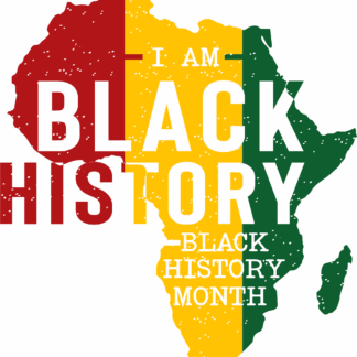 BHM: IMBH 1 - DTF Transfers